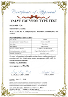 Forge Valve API 624 Approval